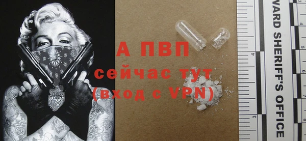PSILOCYBIN Беслан
